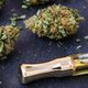 Illustration for article titled Additive in Marijuana Vaping Products Linked to Mysterious — and Sometimes Deadly — Lung Illness